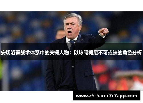 安切洛蒂战术体系中的关键人物：以琼阿梅尼不可或缺的角色分析